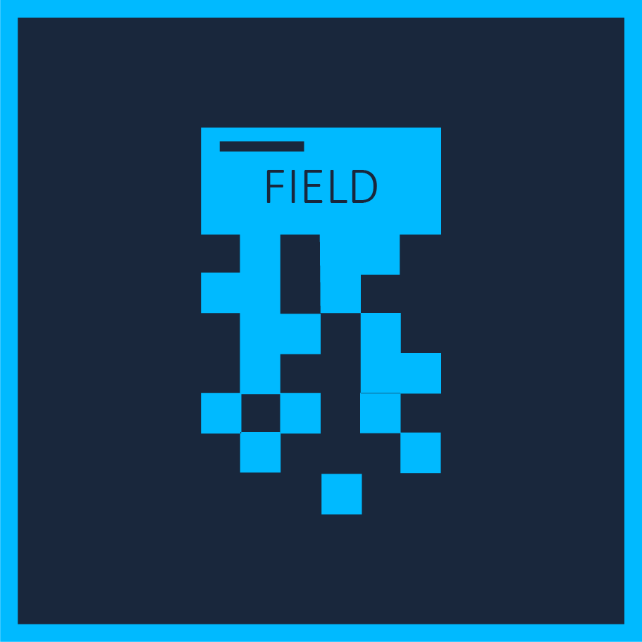 Field Encryption